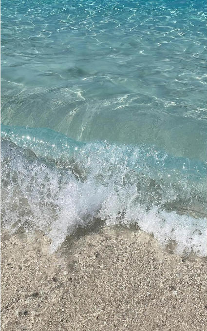 海